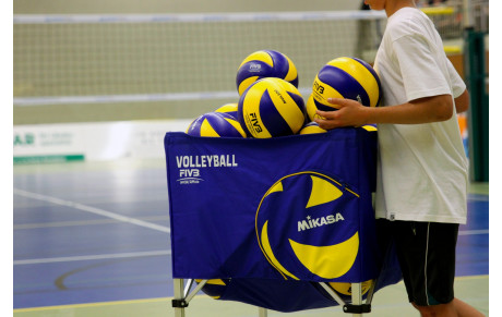 Reprise au gymnase de La Louvière le 20/08