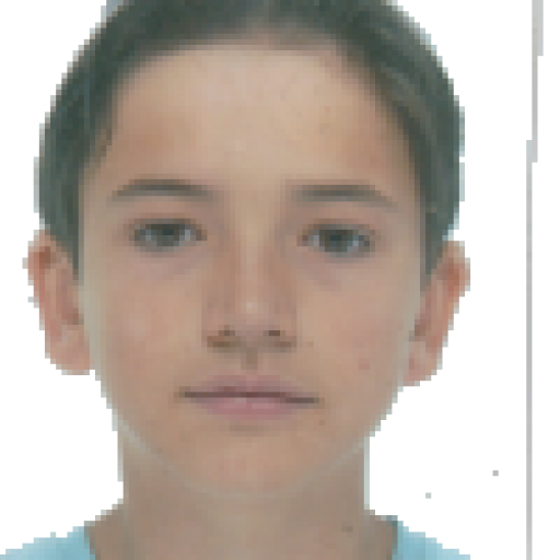 Arthur Moissenet